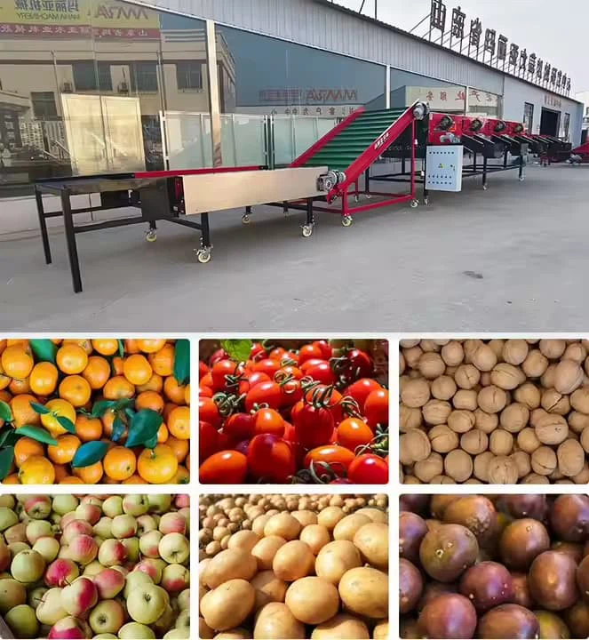 product-663-720 product-663-720